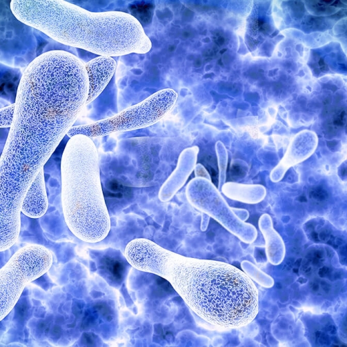 Sicurezza ambiente e Legionellosi - Tecnologie & Sistemi